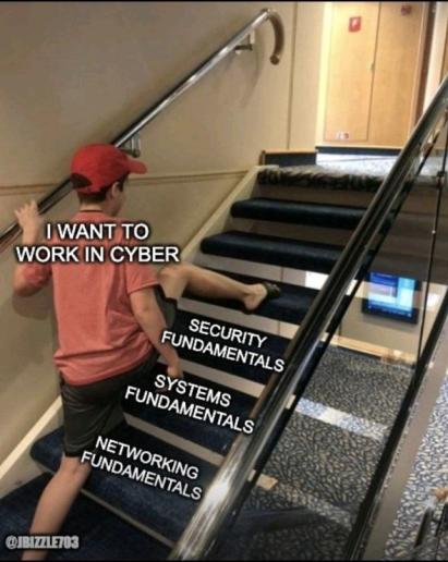 I want to work in cyber